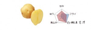 北あかり