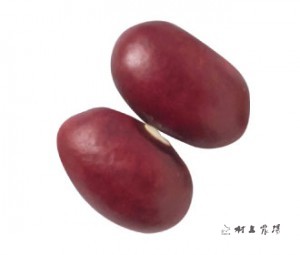 大正金時