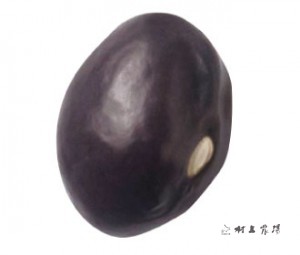 栗豆