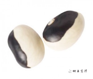 パンダ豆