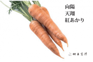 にんじん